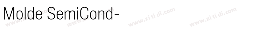 Molde SemiCond字体转换